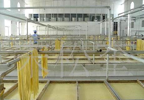 豆制品深加工及食品机械制造项目可行性研究报告